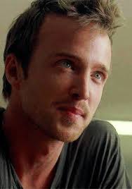 BIOGRAFIAS: BIOGRAFÍA DE AARON PAUL STURTEVANT