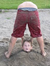 Image result for funny pictures