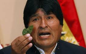 Coca leaves are not cocaine, Evo Morales insists - Telegraph via Relatably.com