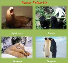 Image result for peta fauna paleartik