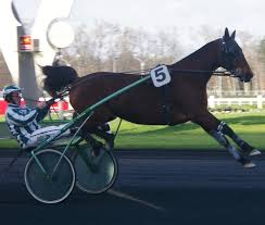 Résultat de recherche d'images pour "image de hippodrome de chevaux de course"