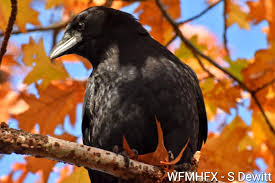 Rain Clears Over Halifax as Calm Returns After Breezy Morning