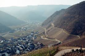 Picture of Red Wine Trail
