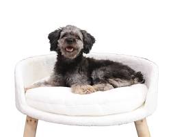 10 recommended stylish dog blanketsの画像