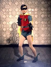 Image result for batman robin