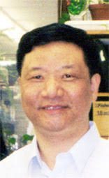 Yi-Ping Li, PhD. Yi-Ping_Li Jay McDonald-Endowed Professor of Pathology Senior Vice Director, UAB Center for Metabolic Bone Disease - Yi-Ping_Li