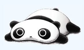 Image result for panda