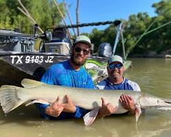 group of anglers posing with their trophy catches on Bimini
