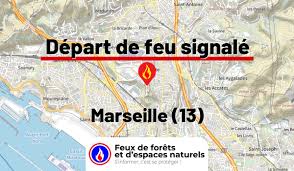 Feux de forêt - News update