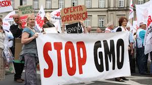 Image result for lifetime studies gmo