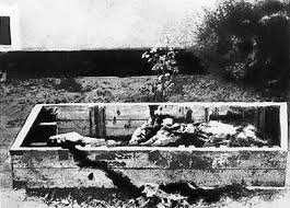 Image result for Hitler In Argentina  pdf