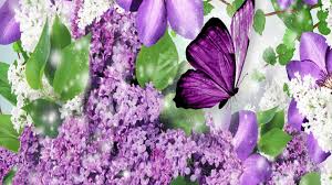 Image result for animated butterflies wallpaper