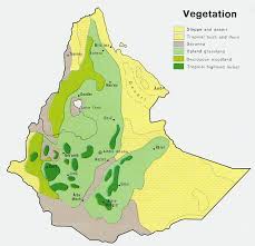 Image result for Ethiopia