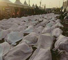 Image result for ‫قربانیان منا‬‎