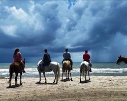 Image of Rockport Beach horseback riding