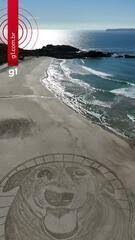 Artista cria desenho de 40 metros em homenagem ao cão Orelha em praia de SC