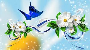 Resultado de imagen de butterfly
