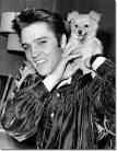 Elvis Presley - October 18, 1956 - 1956_october_18_elvis_sweet_pea_3