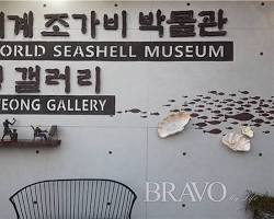 명연숙 이미지