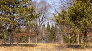 What to do for Earth Day in central Maine