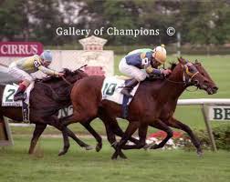 Résultat de recherche d'images pour "awad frame"