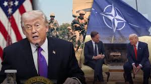 도널드 j. 트럼프 아이콘