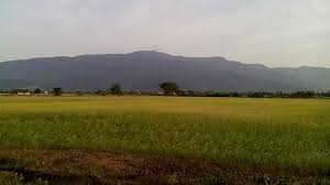 Image result for Gunung Jerai