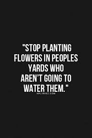 Stop planting flowers in people yards who aren&#39;t going to water ... via Relatably.com