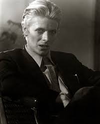 Image result for thin white duke