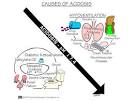 Is It Really Diabetic Ketoacidosis? Double Trouble