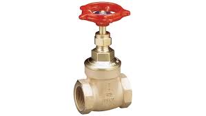 Pegler Yorkshire Gate Valve 103008 3/4 in, 3/4 in | RS