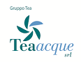Gruppo Tea S.p.a
