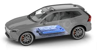 Trend Google: byd company
