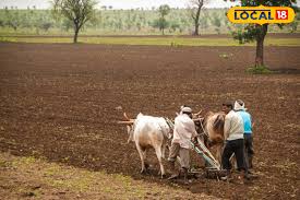 फार्मर आईडी नहीं बनाई तो भूल जाएं किसान सम्मान निधि की अगली किश्त, जान लें बनाने का तरीका