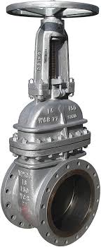 Amazon.com: 10" Newco 10-11F-CB2 Gate Valve 150 RF Cast ...