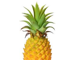 Image of Pineapple fruit