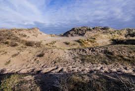 Natuurgebied Hollandse Duinen wordt officieel een Nationaal Park