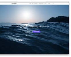 Image of Fullscreen free photography WordPress theme