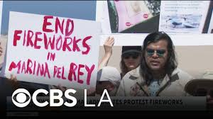 Concerned residents protest Marina del Rey fireworks out of concern for wildlife