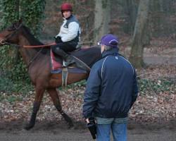 Image de Entraîneur cheval