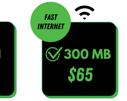 صورة WE 70 MB internet plan
