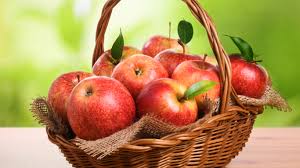 Image result for apple fruit