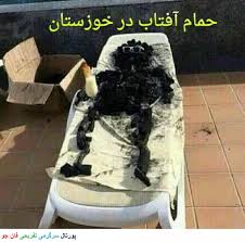 Image result for ?عکس نوشته باحال وجدید?‎