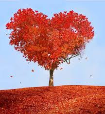 Risultati immagini per from my heart to yours autumn