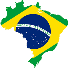 Resultado de imagem para flag brasil