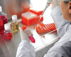 Image of scientist in a lab setting, reviewing a document with a supplier logo, with various lab equipment and cell culture flasks in the background
