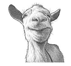 Image result for GOAT