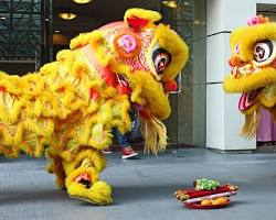 صورة Watching lion and dragon dances during the Spring Festival