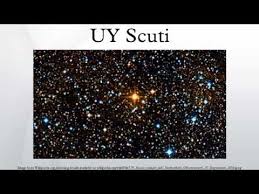 Image result for uy scuti