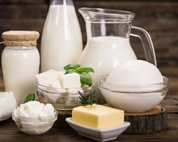 Image of Dairy products